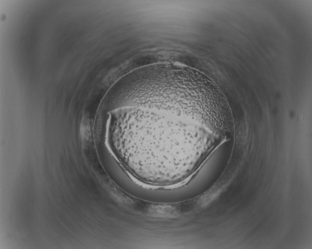 X0000082690137200702091707