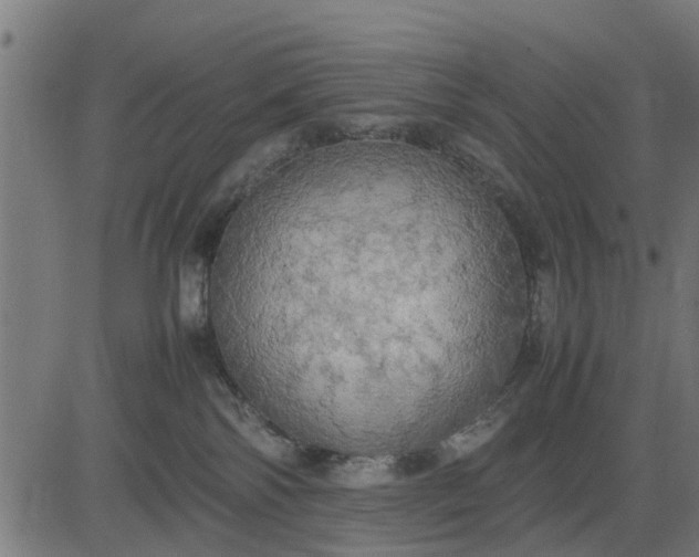 X0000082690138200702091707