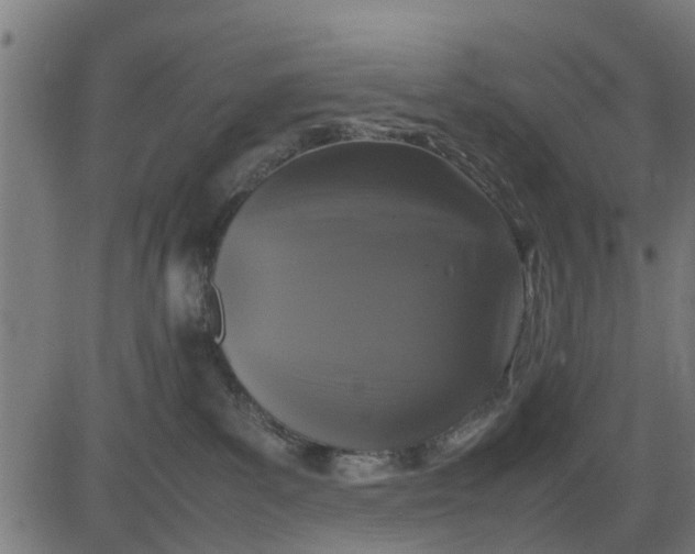 X0000082690139200702091707