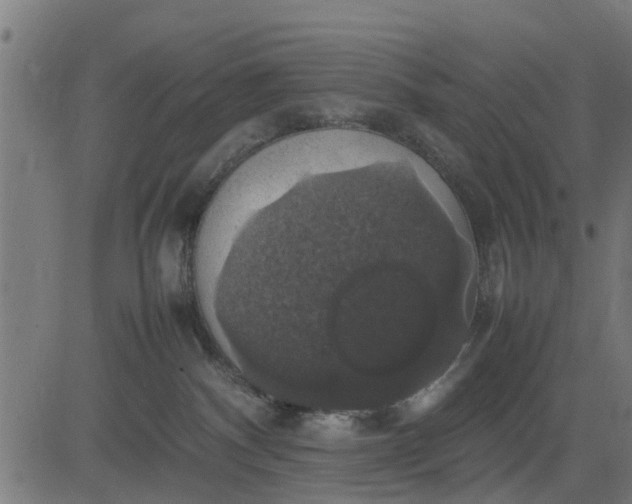 X0000082690140200702091707