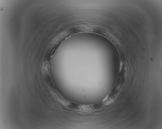 X0000082690141200702091707