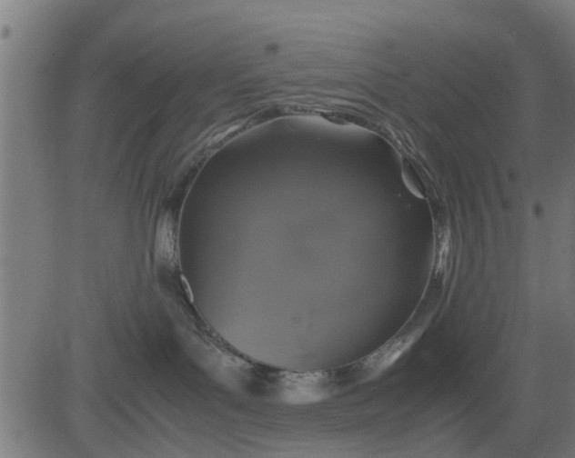 X0000082690143200702091707