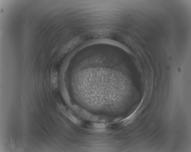 X0000082690144200702091707