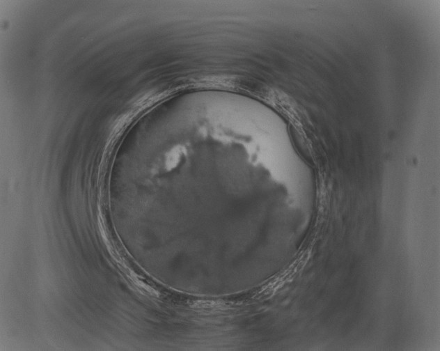 X0000082690145200702091706