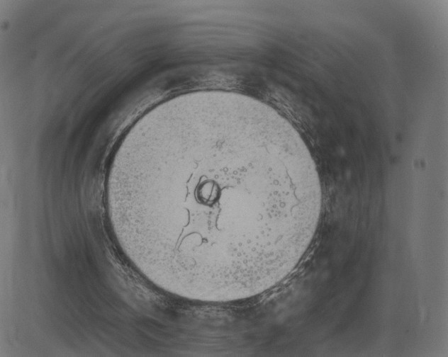 X0000082690146200702091706