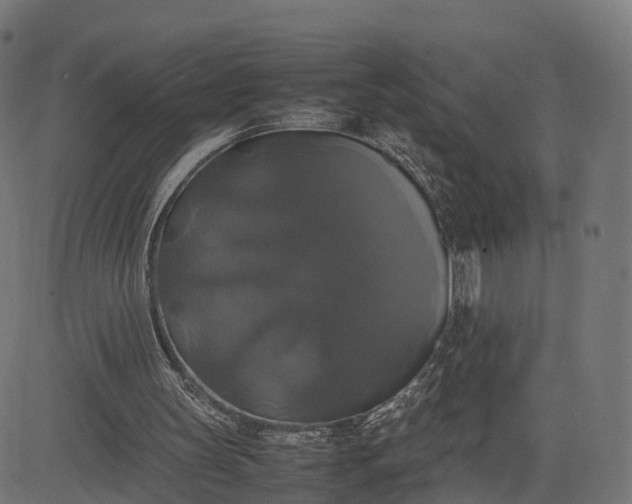 X0000082690147200702091706