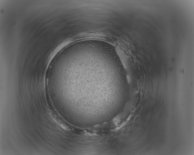 X0000082690148200702091706