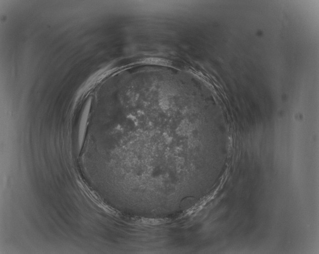 X0000082690149200702091706