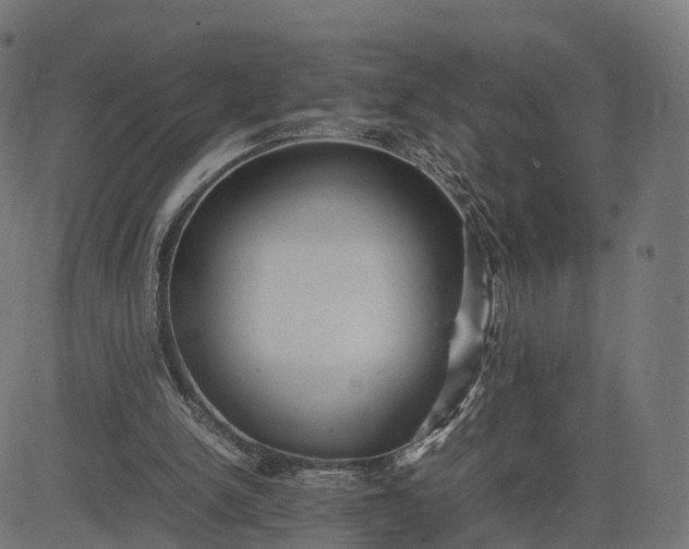 X0000082690150200702091706