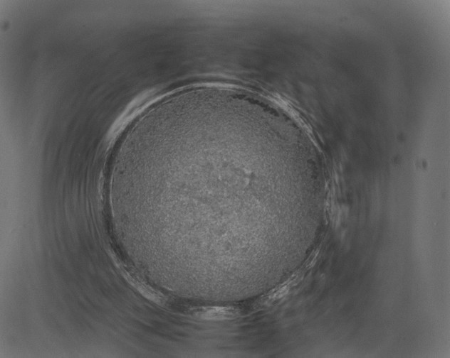 X0000082690151200702091706