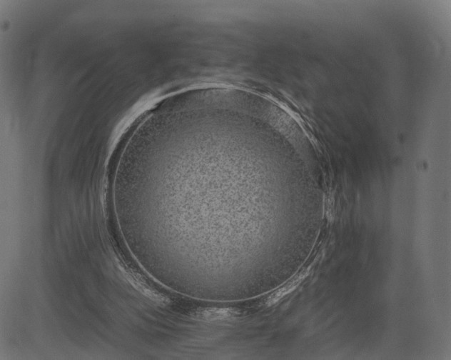 X0000082690152200702091706