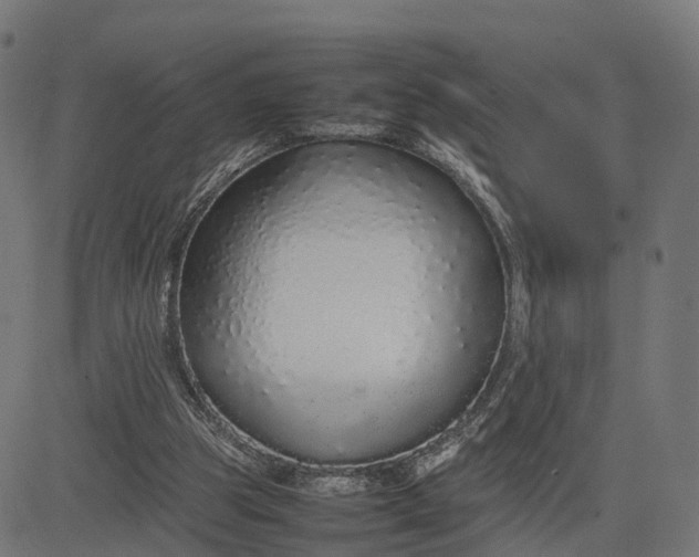 X0000082690153200702091706