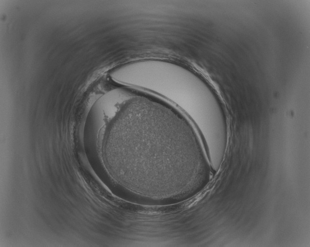 X0000082690154200702091706