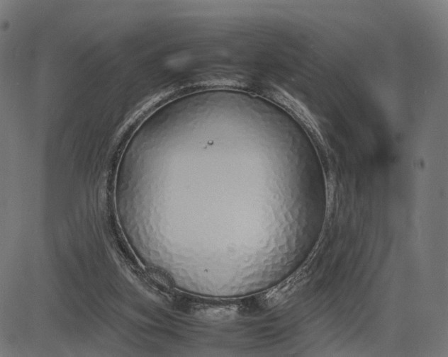 X0000082690155200702091706