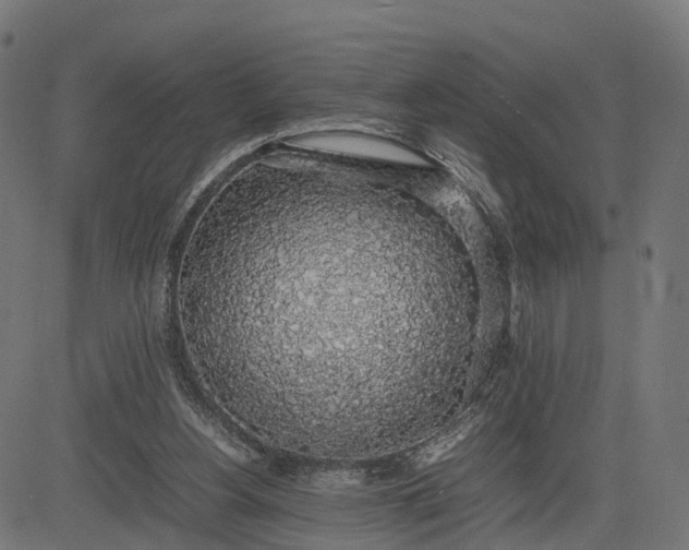 X0000082690156200702091706