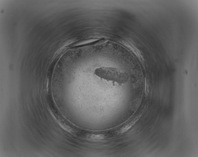 X0000082690157200702091706