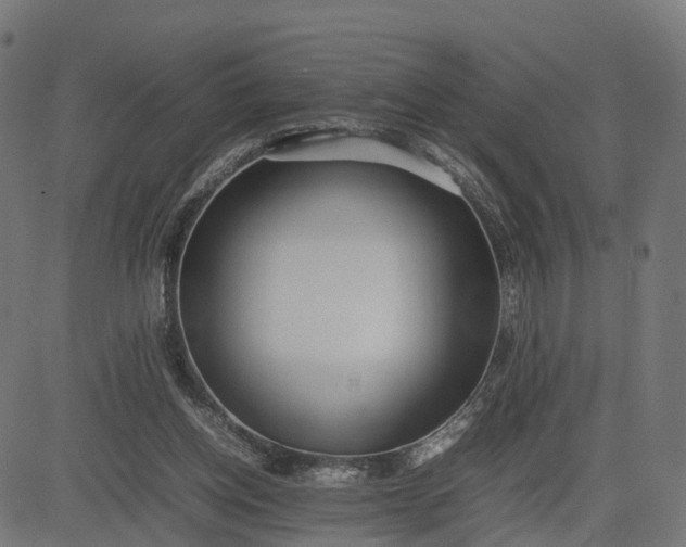 X0000082690158200702091706