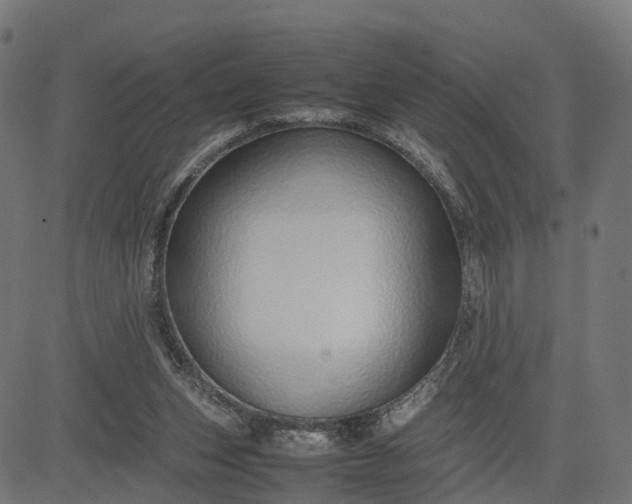 X0000082690159200702091706