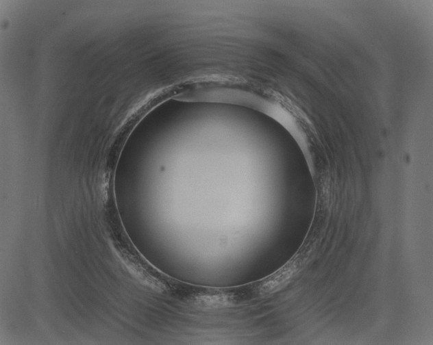 X0000082690160200702091706