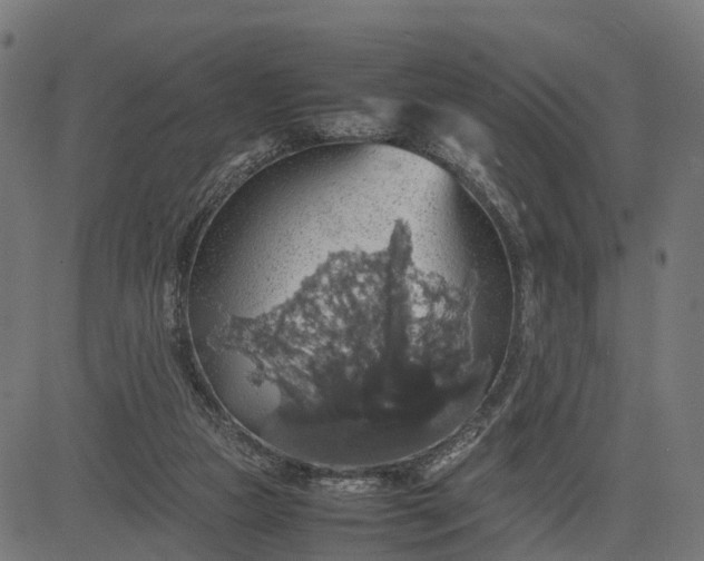 X0000082690161200702091706