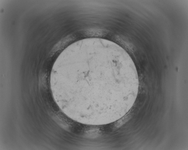 X0000082690162200702091706