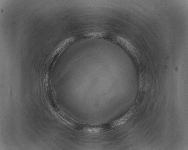 X0000082690163200702091706