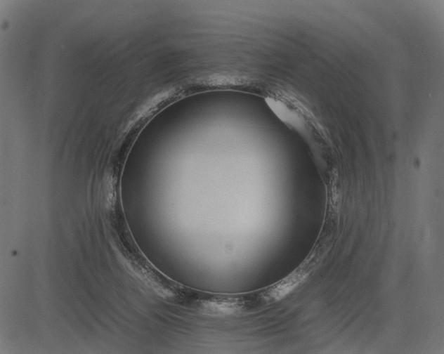 X0000082690164200702091706