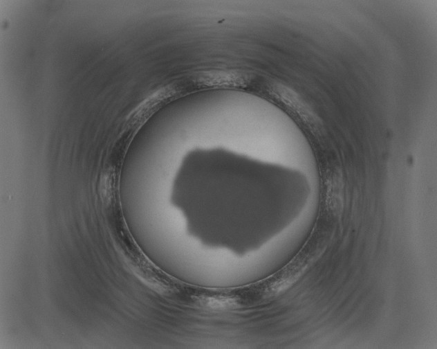 X0000082690165200702091706