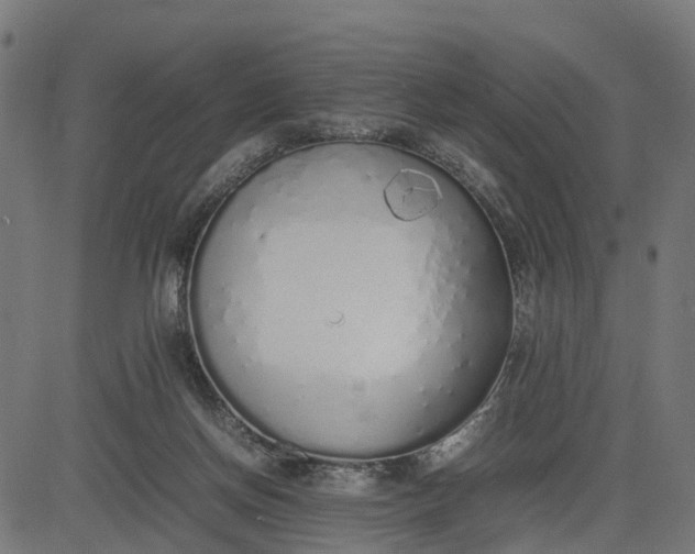 X0000082690166200702091706