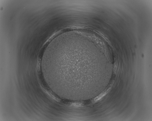 X0000082690168200702091706