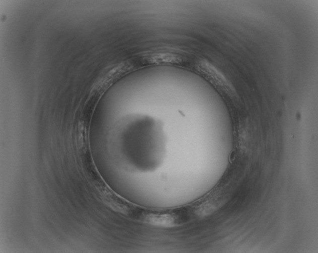 X0000082690169200702091706