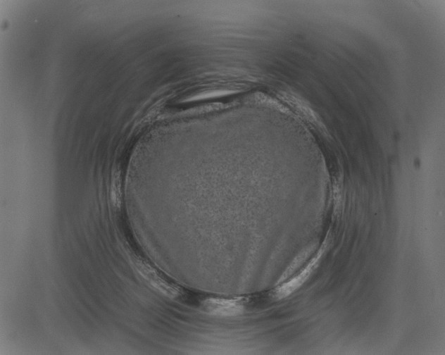 X0000082690170200702091706