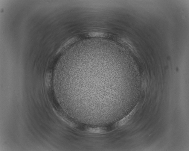 X0000082690171200702091706