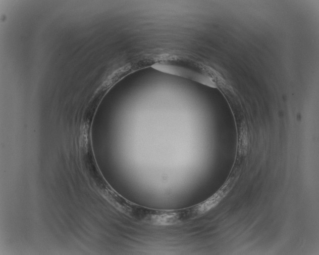 X0000082690172200702091706