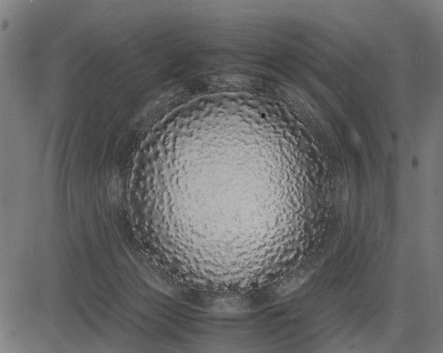 X0000082690173200702091706