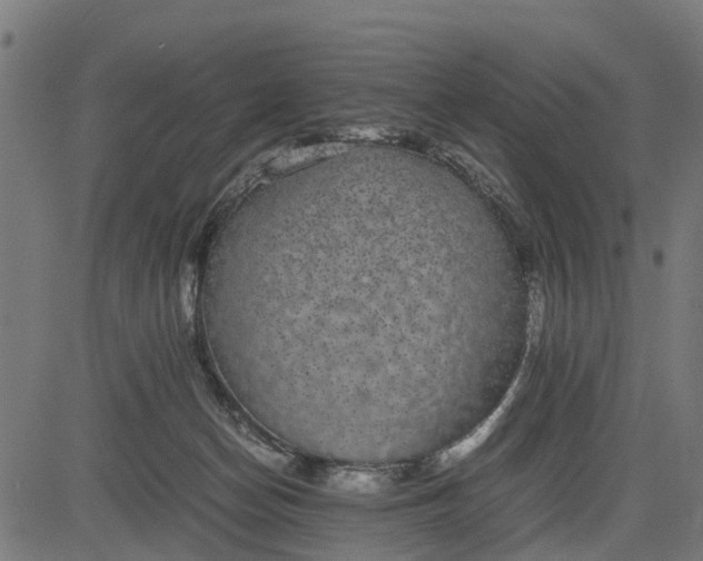 X0000082690174200702091706