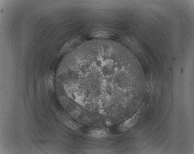 X0000082690175200702091706