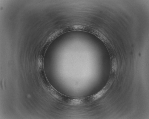 X0000082690176200702091706