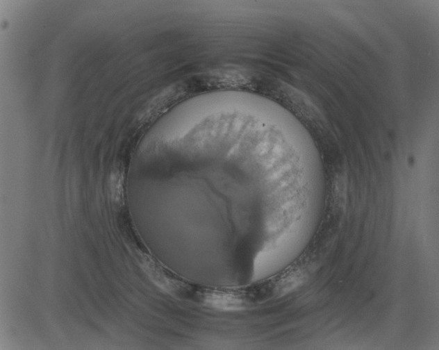 X0000082690177200702091706