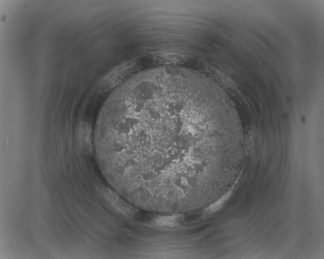 X0000082690178200702091706