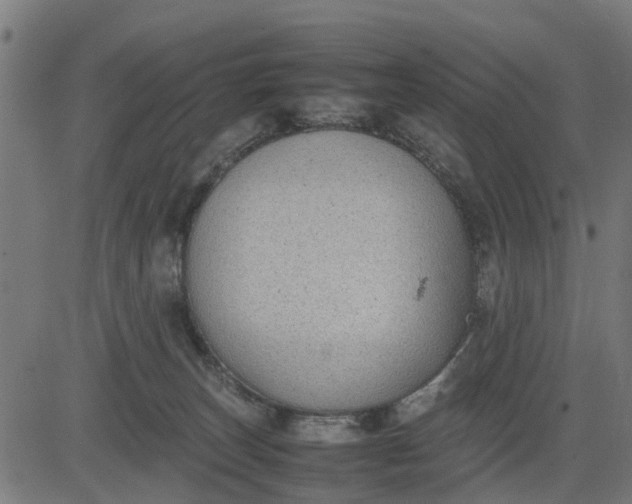 X0000082690179200702091706