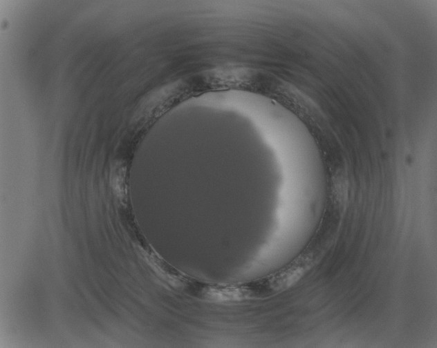 X0000082690181200702091706