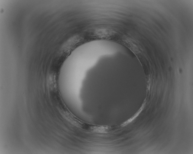 X0000082690182200702091706