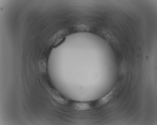 X0000082690183200702091707