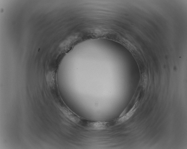 X0000082690184200702091707