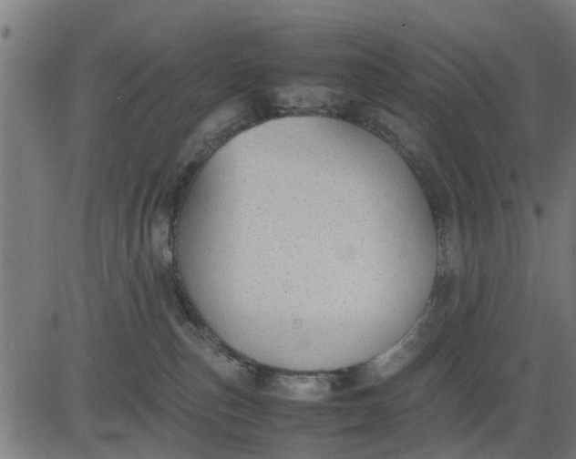 X0000082690187200702091707