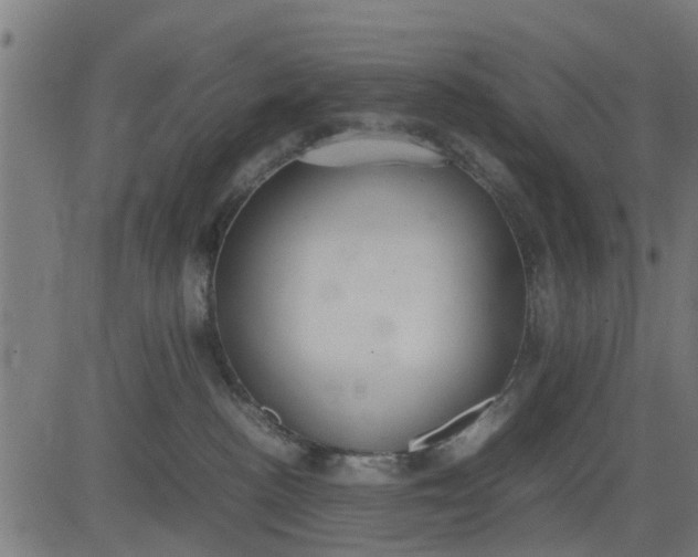 X0000082690188200702091707