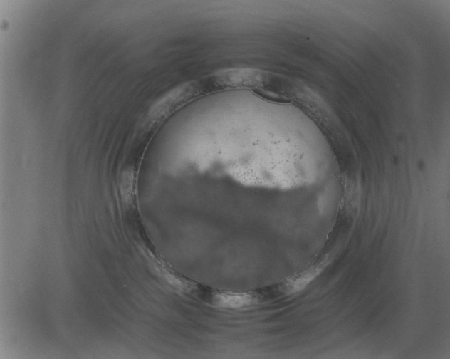 X0000082690189200702091707