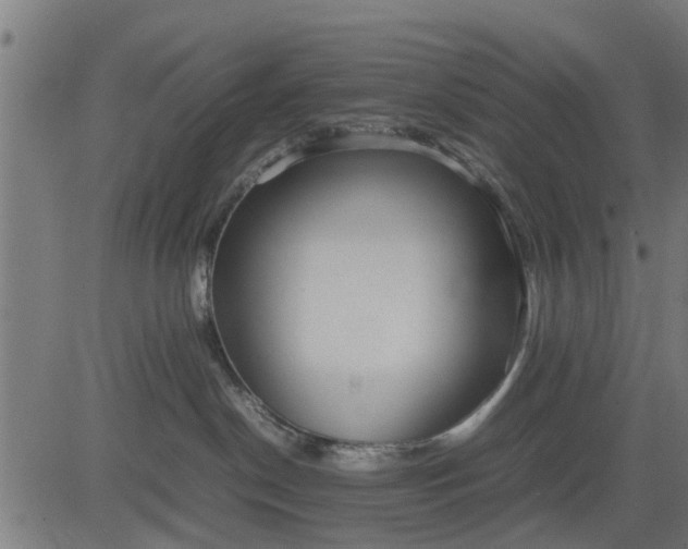 X0000082690190200702091707