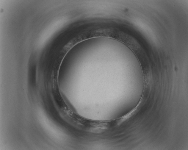 X0000082690191200702091707